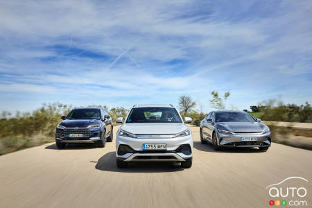 Sales of EVs, PHEVs Climbed by 25 Percent in 2024