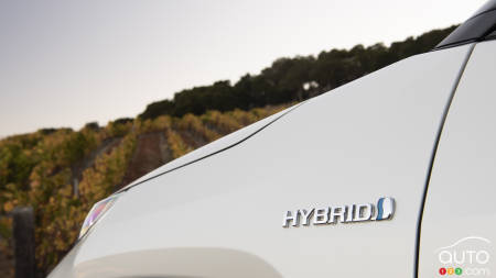 2019 Hybrid and Electric Car Guide: The Hybrids